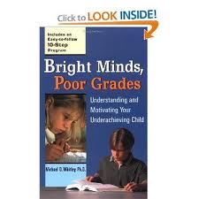 bright minds, poor grades