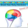 The Challenge of Executive Function:<br>What’s the Antidote?