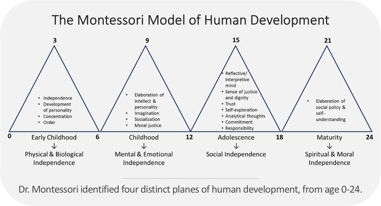 Montessori Model of Human Development